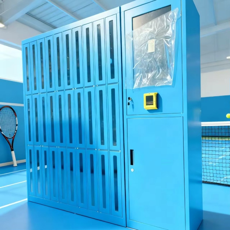 Custom High-quality Club Gym S - Sports Equipment Locker ulasan dan harga